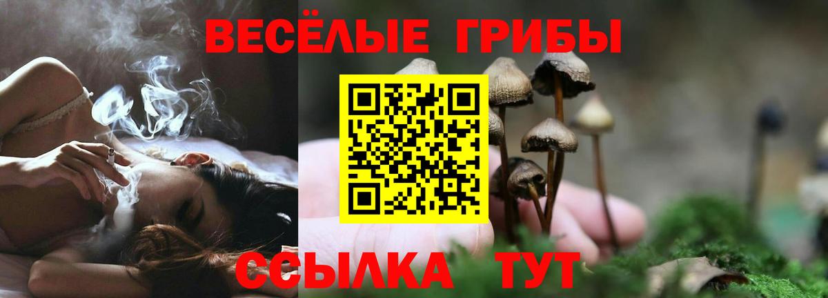 Псилоцибиновые грибы ЛСД  Вход с VPN  Псилоцибиновые грибы мухоморы  Добрянка 